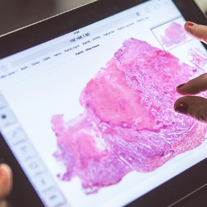 Diagnose von klinischen Bildern mit k&uuml;nstlicher Intelligenz​