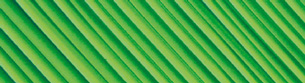 PureWave