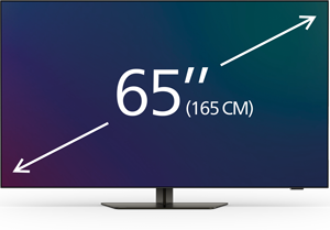 65-Zoll-Fernseher